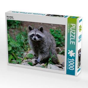 CALVENDO Puzzle Waschbär 1000 Teile Lege-Größe 64 x 48 cm Foto-Puzzle Bild von Dieter-M. Wilczek