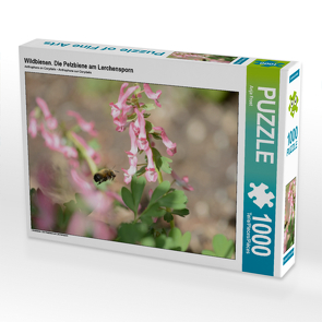 CALVENDO Puzzle Wildbienen. Die Pelzbiene am Lerchensporn 1000 Teile Lege-Größe 64 x 48 cm Foto-Puzzle Bild von Anja Frost
