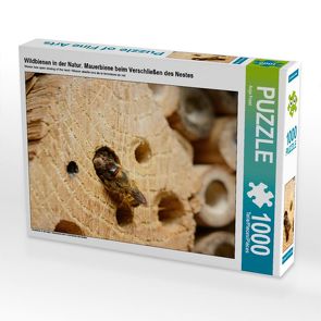 CALVENDO Puzzle Wildbienen in der Natur. Mauerbiene beim Verschließen des Nestes 1000 Teile Lege-Größe 64 x 48 cm Foto-Puzzle Bild von Anja Frost