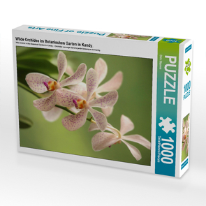 CALVENDO Puzzle Wilde Orchidee im Botanischen Garten in Kandy. 1000 Teile Lege-Größe 64 x 48 cm Foto-Puzzle Bild von Dirk Stamm