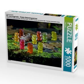 CALVENDO Puzzle Wir sind eingeladen – Kinder-Geburtstagsplaner 1000 Teile Lege-Größe 64 x 48 cm Foto-Puzzle Bild von Ingo Laue von Laue,  Ingo