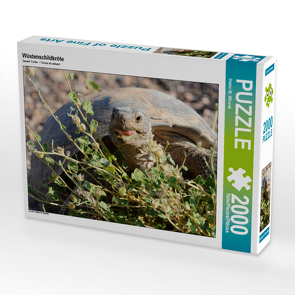 CALVENDO Puzzle Wüstenschildkröte 2000 Teile Lege-Größe 90 x 67 cm Foto-Puzzle Bild von Dieter-M. Wilczek