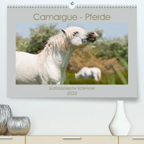 Camargue-Pferde – Südfranzösische Schimmel (Premium, hochwertiger DIN A2 Wandkalender 2023, Kunstdruck in Hochglanz) von Bölts,  Meike