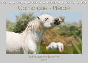Camargue-Pferde – Südfranzösische Schimmel (Tischkalender 2023 DIN A5 quer) von Bölts,  Meike