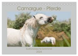 Camargue-Pferde – Südfranzösische Schimmel (Tischkalender 2024 DIN A5 quer), CALVENDO Monatskalender von Bölts,  Meike
