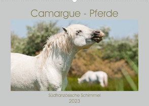 Camargue-Pferde – Südfranzösische Schimmel (Wandkalender 2023 DIN A2 quer) von Bölts,  Meike