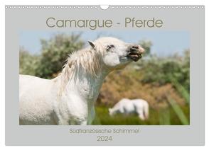 Camargue-Pferde – Südfranzösische Schimmel (Wandkalender 2024 DIN A3 quer), CALVENDO Monatskalender von Bölts,  Meike
