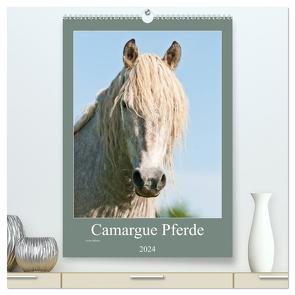 Camargue Pferde – weiße Mähnen (hochwertiger Premium Wandkalender 2024 DIN A2 hoch), Kunstdruck in Hochglanz von Bölts,  Meike