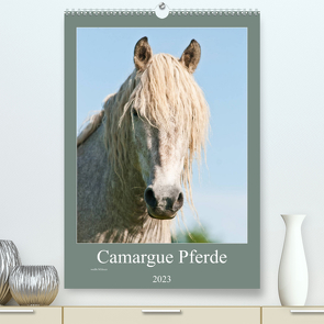 Camargue Pferde – weiße Mähnen (Premium, hochwertiger DIN A2 Wandkalender 2023, Kunstdruck in Hochglanz) von Bölts,  Meike
