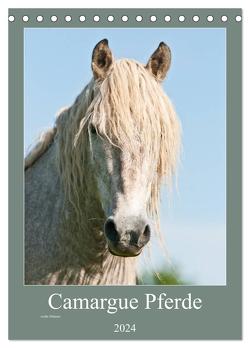 Camargue Pferde – weiße Mähnen (Tischkalender 2024 DIN A5 hoch), CALVENDO Monatskalender von Bölts,  Meike