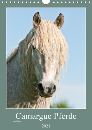 Camargue Pferde – weiße Mähnen (Wandkalender 2021 DIN A4 hoch) von Bölts,  Meike