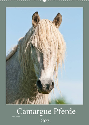 Camargue Pferde – weiße Mähnen (Wandkalender 2022 DIN A2 hoch) von Bölts,  Meike