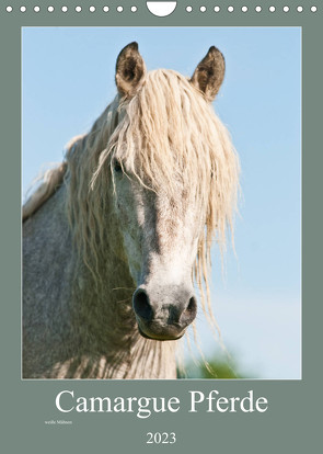 Camargue Pferde – weiße Mähnen (Wandkalender 2023 DIN A4 hoch) von Bölts,  Meike