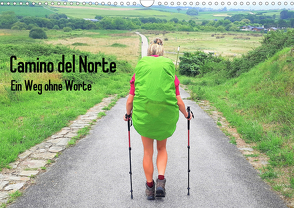 Camino del Norte – Ein Weg ohne Worte (Wandkalender 2021 DIN A3 quer) von Giesecke,  Maren