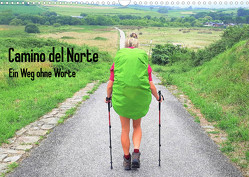 Camino del Norte – Ein Weg ohne Worte (Wandkalender 2023 DIN A3 quer) von Giesecke,  Maren