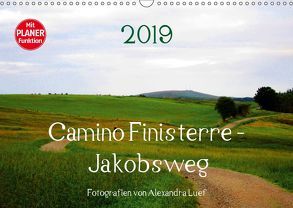 Camino Finisterre – JakobswegAT-Version (Wandkalender 2019 DIN A3 quer) von Luef,  Alexandra