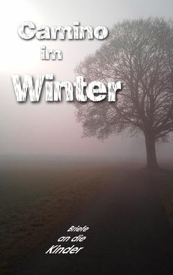 Camino im Winter von Andorfer,  Kurt