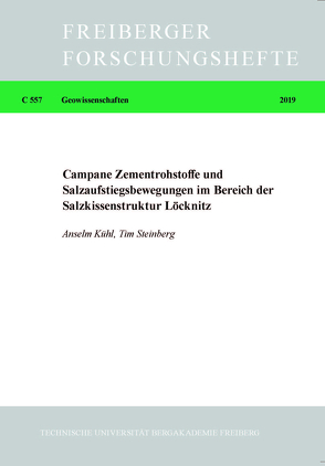 Campane Zementrohstoffe und Salzaufstiegsbewegungen im Bereich der Salzkissenstruktur Löcknitz von Kühl,  Anselm, Steinberg,  Tim