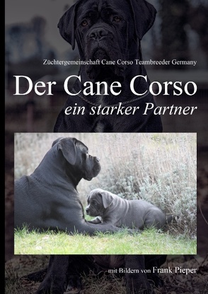 Cane Corso – ein starker Partner von Cane Corso Italiano Teambreeder Germany,  Züchtergemeinschaft