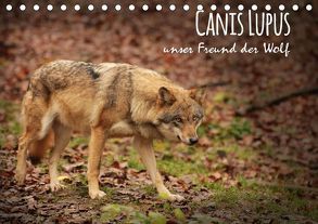 Canis Lupus – unser Freund der Wolf (Tischkalender 2019 DIN A5 quer) von Hollstein,  Alexandra