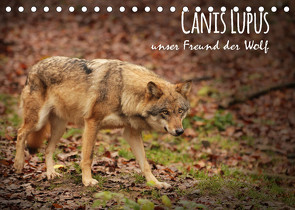 Canis Lupus – unser Freund der Wolf (Tischkalender 2022 DIN A5 quer) von Hollstein,  Alexandra