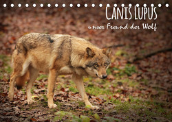 Canis Lupus – unser Freund der Wolf (Tischkalender 2023 DIN A5 quer) von Hollstein,  Alexandra