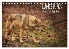 Canis Lupus – unser Freund der Wolf (Tischkalender 2024 DIN A5 quer), CALVENDO Monatskalender von Hollstein,  Alexandra