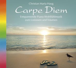 Carpe Diem von Haug,  Christian M
