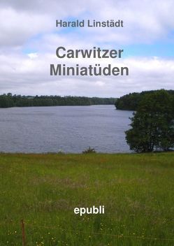 Carwitzer Miniatüden von Linstädt,  Harald