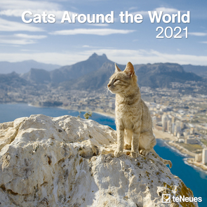 Cats Around the World 2021 – Wand-Kalender – Broschüren-Kalender – 30×30 – 30×60 geöffnet – Katzen-Kalender
