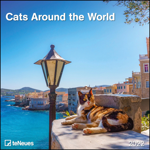 Cats Around the World 2022 – Wand-Kalender – Broschüren-Kalender – 30×30 – 30×60 geöffnet – Katzen-Kalender