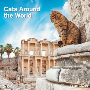 Cats Around the World 2024 – Wand-Kalender – Broschüren-Kalender – 30×30 – 30×60 geöffnet – Katzen-Kalender