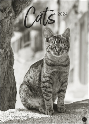 Cats Edition Kalender 2024 von Monika Wegler