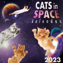 Cats in Space Kalender 2023 von Braaf,  Edition