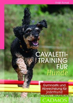 Cavalettitraining für Hunde von Rumpf,  Steffi