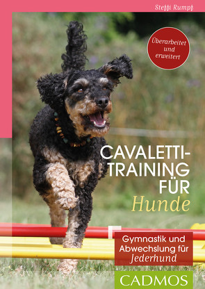 Cavalettitraining für Hunde von Rumpf,  Steffi