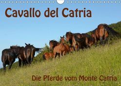 Cavallo del Catria – Die Pferde vom Monte Catria (Wandkalender 2019 DIN A4 quer) von van Wyk - www.germanpix.net,  Anke