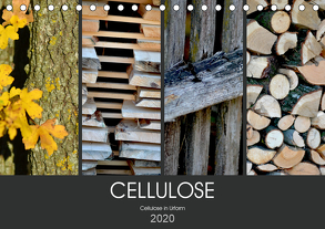 Cellulose, Cellulose in Urform (Tischkalender 2020 DIN A5 quer) von Fotokullt