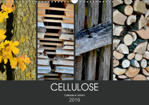 Cellulose, Cellulose in Urform (Wandkalender 2019 DIN A3 quer) von Fotokullt