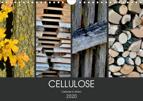 Cellulose, Cellulose in Urform (Wandkalender 2020 DIN A4 quer) von Fotokullt