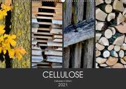 Cellulose, Cellulose in Urform (Wandkalender 2021 DIN A2 quer) von Fotokullt