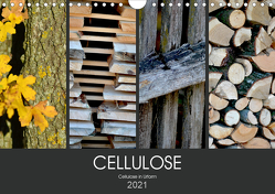 Cellulose, Cellulose in Urform (Wandkalender 2021 DIN A4 quer) von Fotokullt