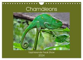 Chamäleons – faszinierende Freak Show (Wandkalender 2024 DIN A4 quer), CALVENDO Monatskalender von Edel,  Anja