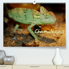 Chamäleons (Premium, hochwertiger DIN A2 Wandkalender 2023, Kunstdruck in Hochglanz) von Chawera