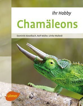 Chamäleons von Kieselbach,  Dominik, Müller,  Rolf, Walbröl,  Ulrike