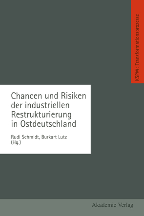 Chancen und Risiken der industriellen Restrukturierung in Ostdeutschland von Lutz,  Burkart, Schmidt,  Rudi
