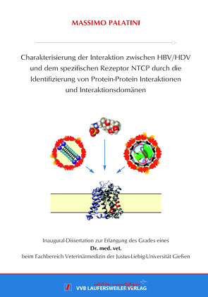 Charakterisierung der Interaktion zwischen HBV/HDV und dem spezifischen Rezeptor NTCP durch die Identifizierung von Protein-Protein Interaktionen und Interaktionsdomänen von Palatini,  Massimo