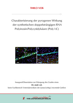 Charakterisierung der pyrogenen Wirkung der synthetischen doppelsträngigen RNA Polyinosin-Polycytidylsäure (Poly I:C) von Voß,  Thilo