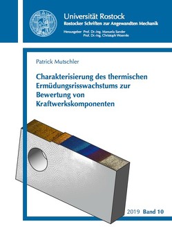 Charakterisierung des thermischen Ermüdungsrisswachstums zur Bewertung von Kraftwerkskomponenten von Mutschler,  Patrick