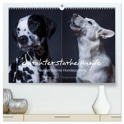 charakterstarke Hunde, wunderschöne Hundeportraits (hochwertiger Premium Wandkalender 2024 DIN A2 quer), Kunstdruck in Hochglanz von Stark Sugarsweet - Photo,  Susanne